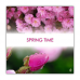 Postkarte | Spring Time